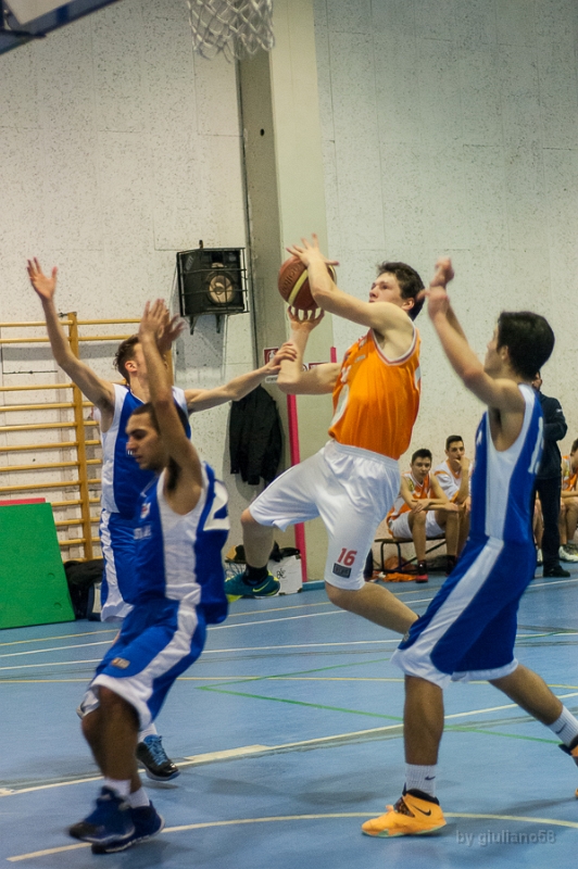 settimo 20-2-14-4